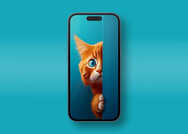 Peeking cat 4K iPhone wallpaper