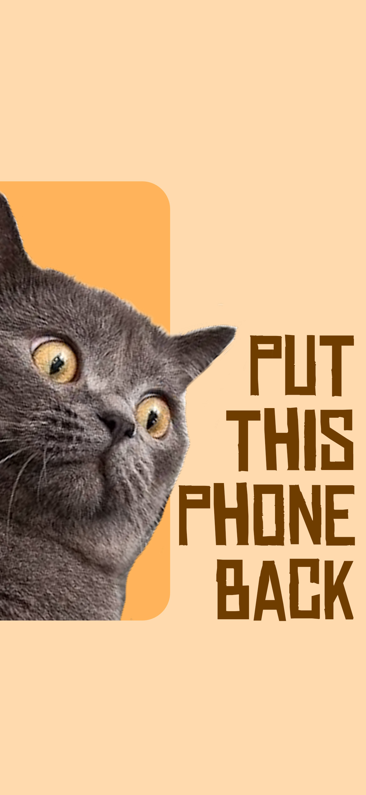 Put this phone back