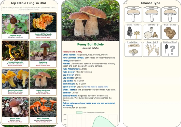 Shroomify App Identify  Mushroom ID USA