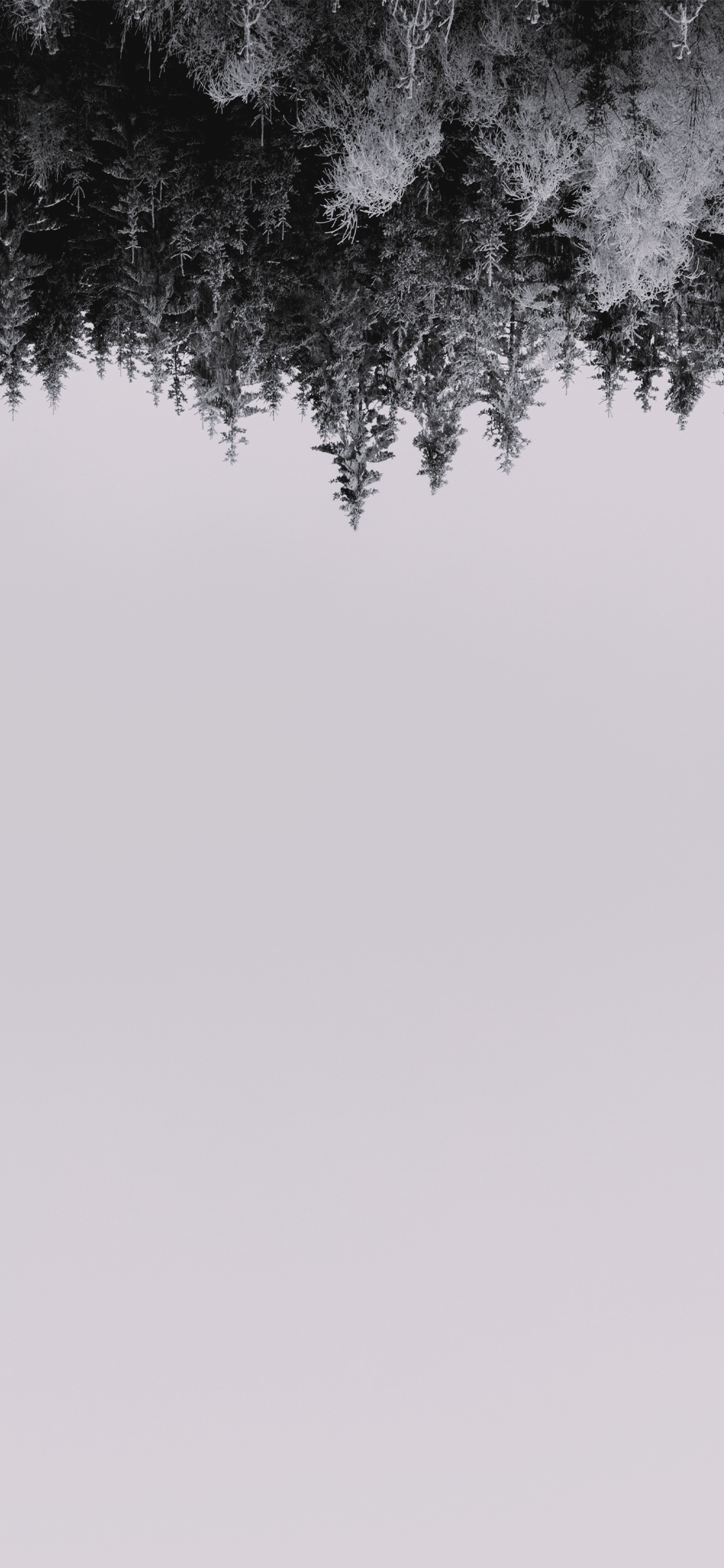 Upside down jungle in winter