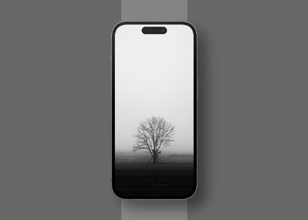 Black and White Wallpaper for iPhone