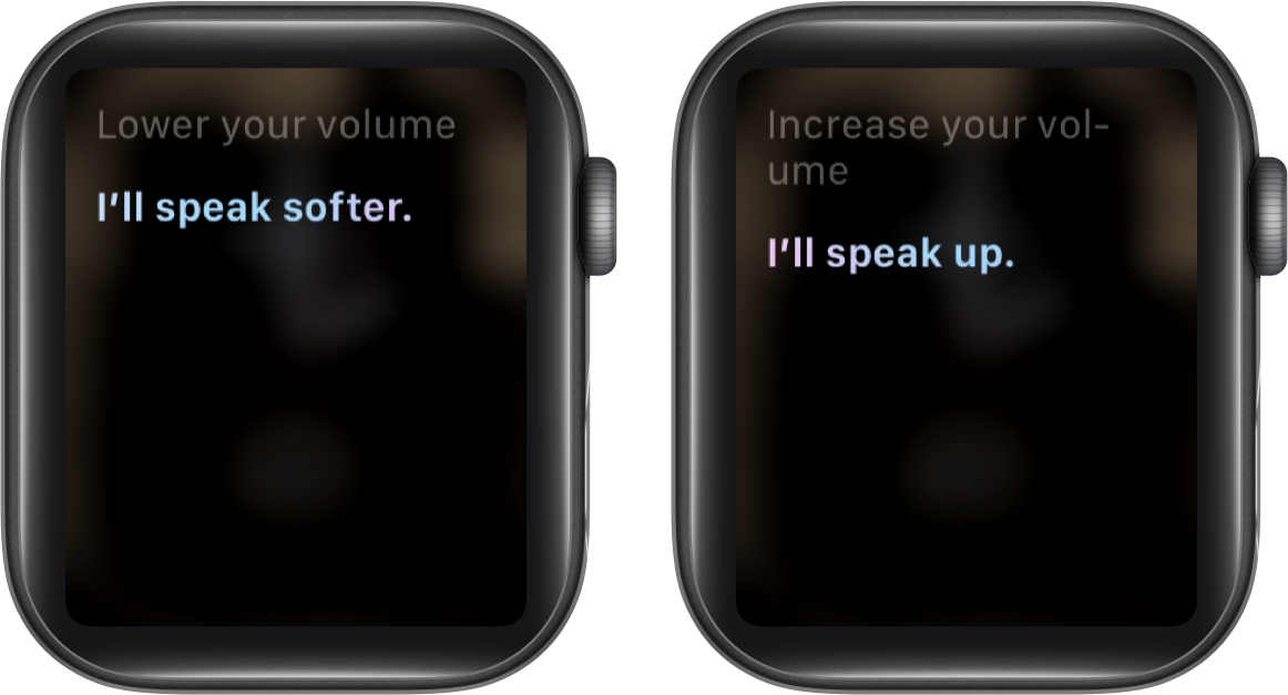 Give voice commands to Siri on Apple Watch