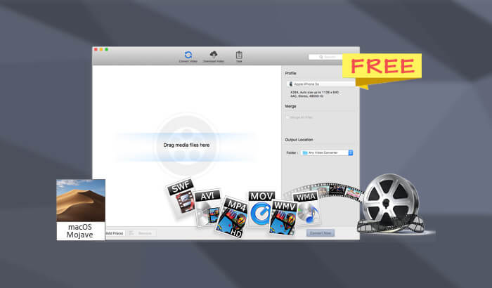 AVC iPad Video Converter