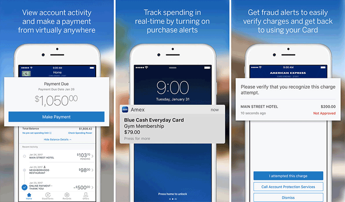 American Express iPhone App Screenshot