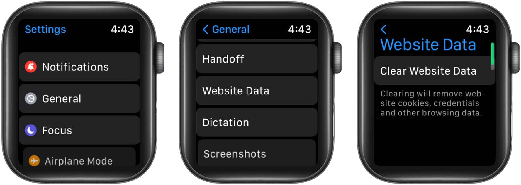 Clear Website Data on Apple Watch