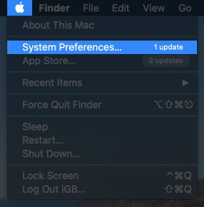 Click on Apple Menu and Select System Preferences on Mac