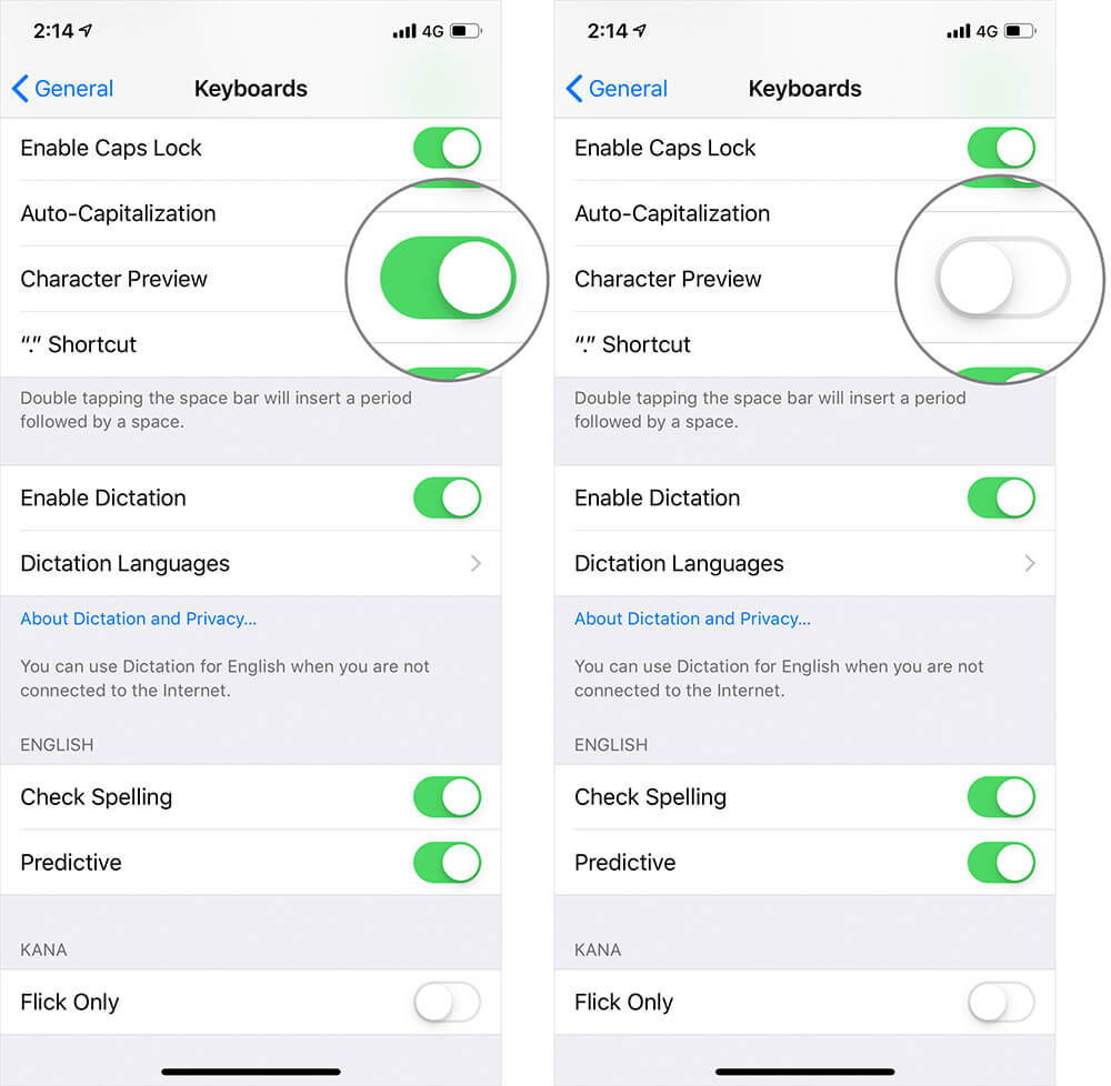 Disable Character Preview in iPhone or iPad Keyboard