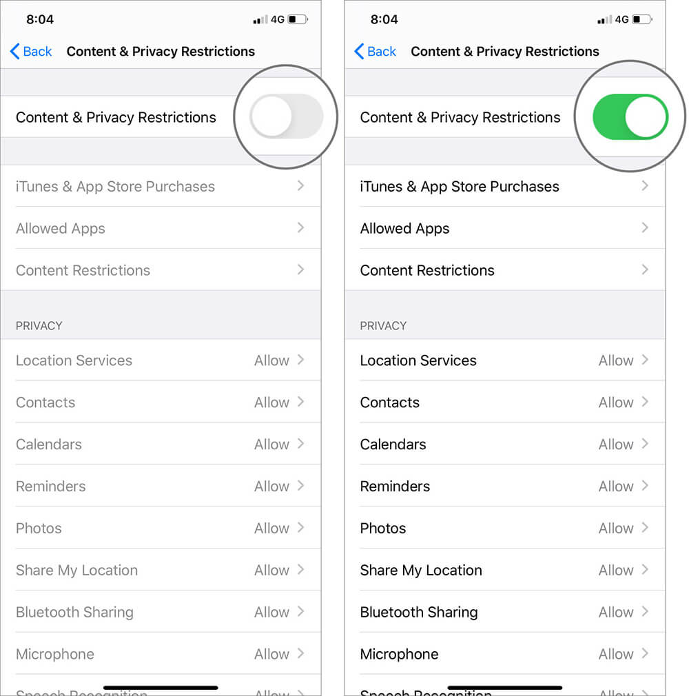 Enable Content & Privacy Restrictions in Screen Time on iPhone