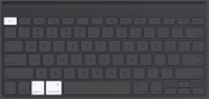 Escape, Option, and Command Key Combination