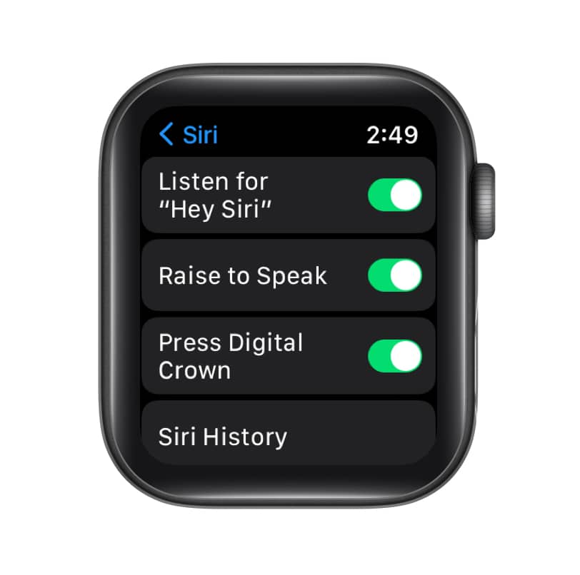 Raise to Speak is not working on Apple Watch