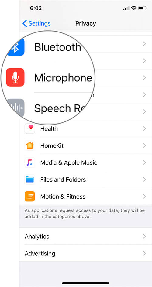 Tap on Microphone in iPhone Privacy Setting