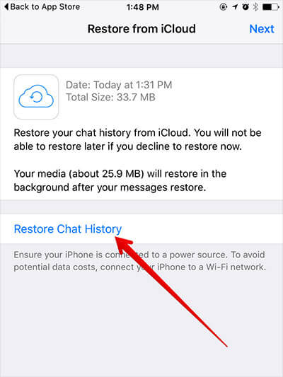 Tap on Restore Chat History in WhatsApp on iPhone