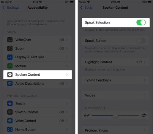 Toggle on Speak Selection on iPhone