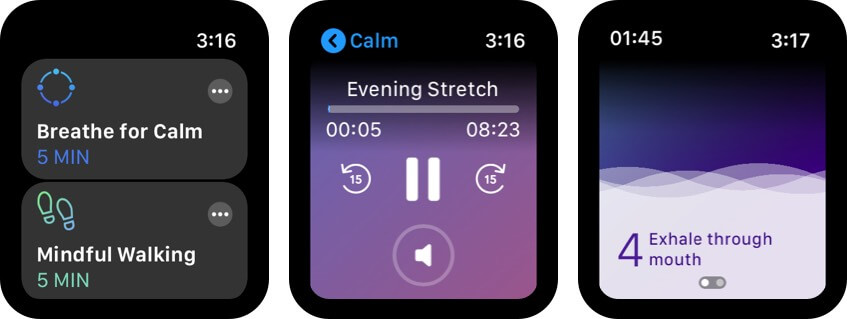 calm apple watch health app screenshot