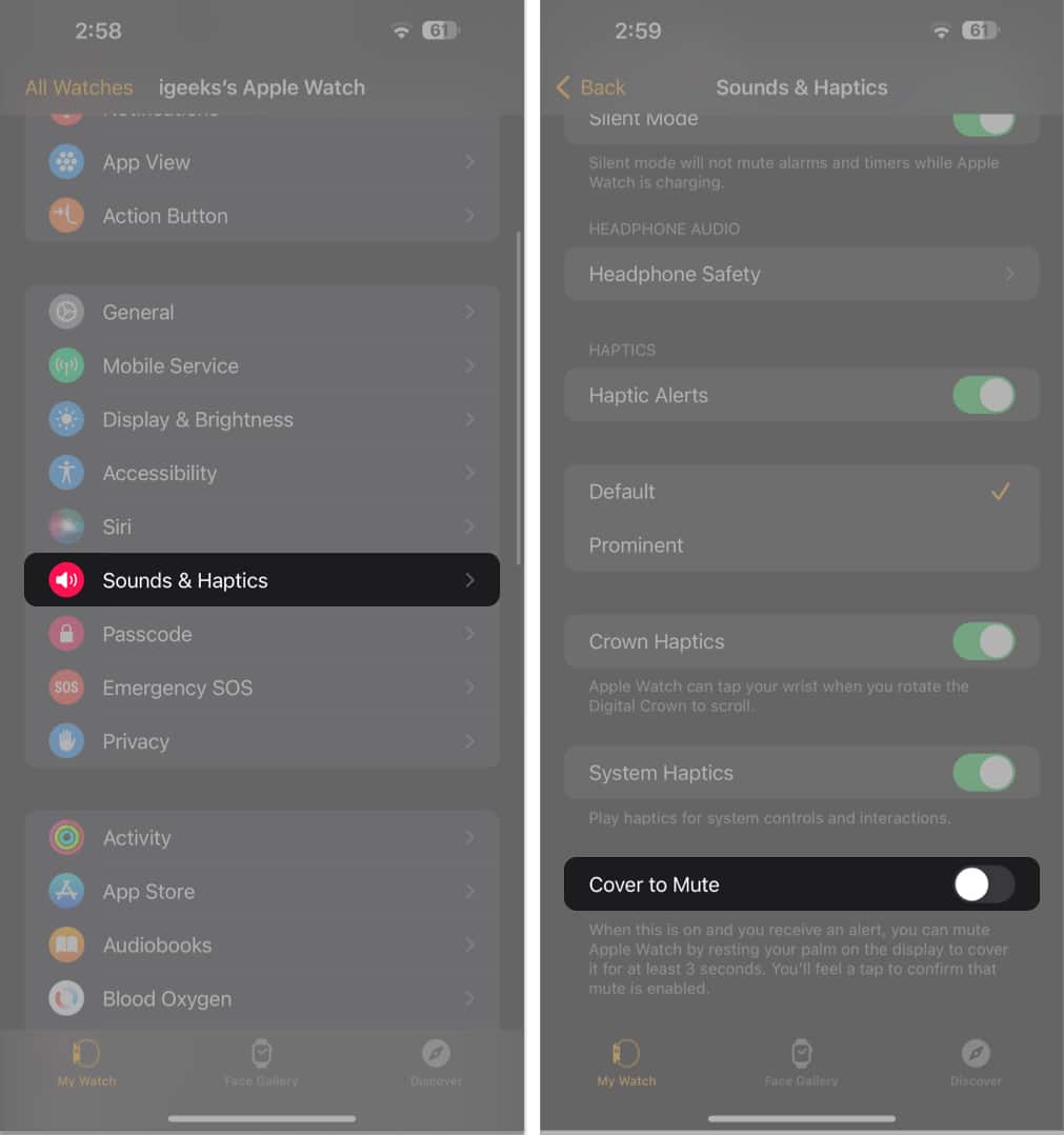 Tap Sound and Haptics toggle off cover to mute