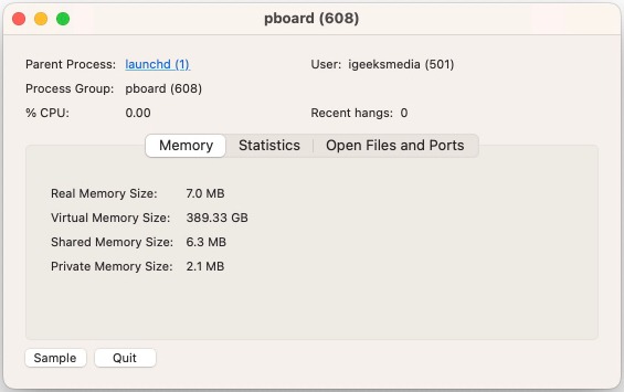 pboard process details in the Activity Monitor app.