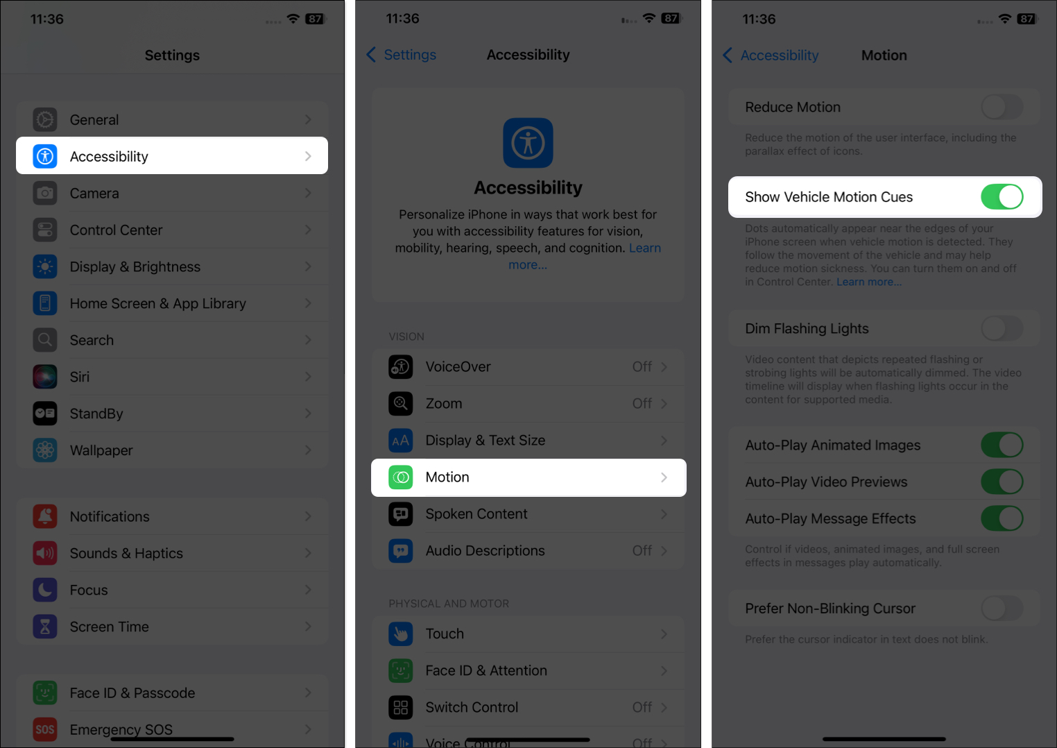 Show Vehicle Motion Cues feature in iOS 18 Settings page on an iPhone.