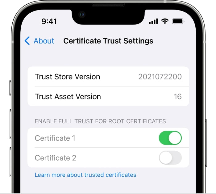 Manually trusting a certificate in iPhone Settings