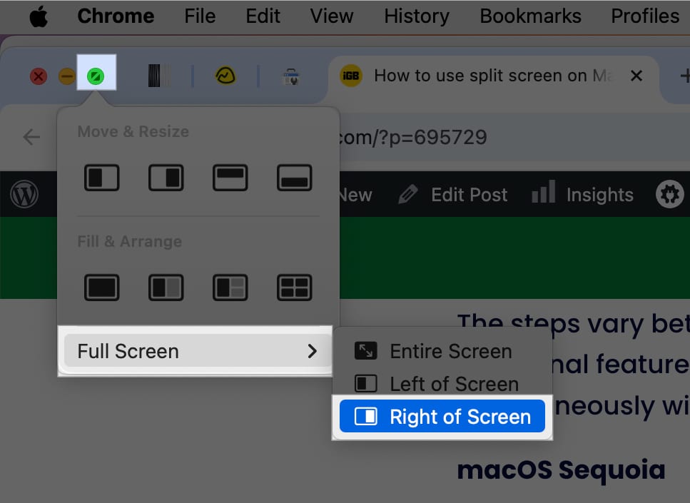 Full Screen options for an app window on macOS Sequoia