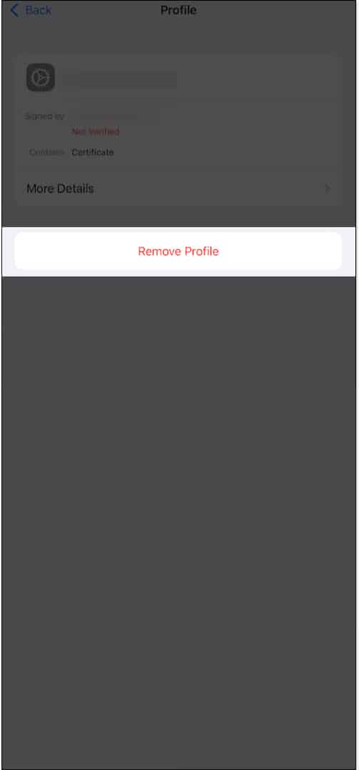 Remove Profile button in iPhone Settings app to remove a profile