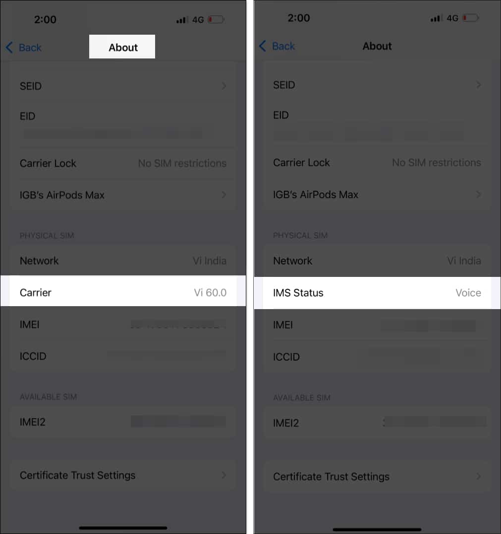 Checking carrier support for RCS messaging in iPhone Settings