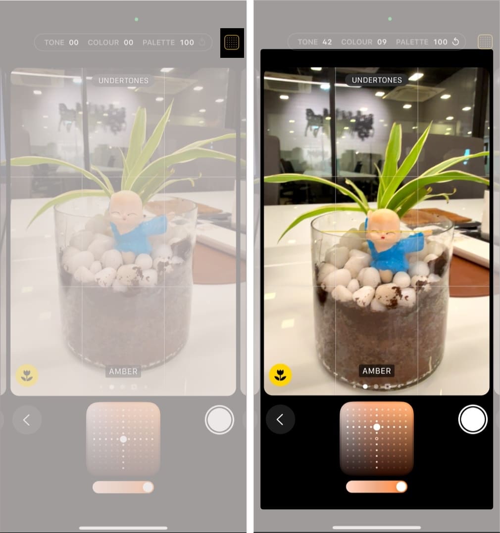 Changing the Photographic Style in iOS Camera app