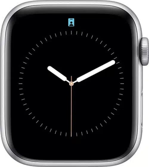 Work Focus Mode Icon on Apple Watch