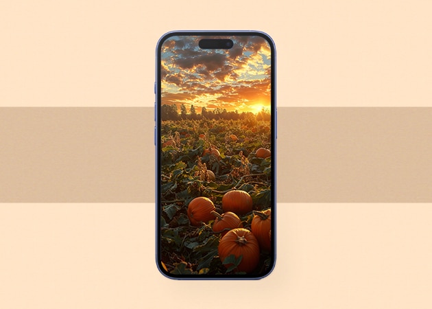 Pumpkin patch wallpaper for iPhone