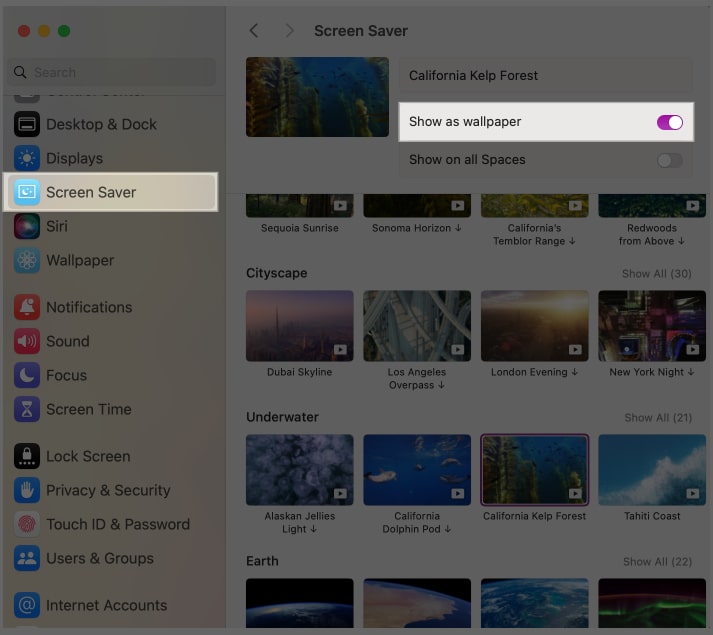Enabling the Show as Wallpaper option for the Screensaver feature on a Mac