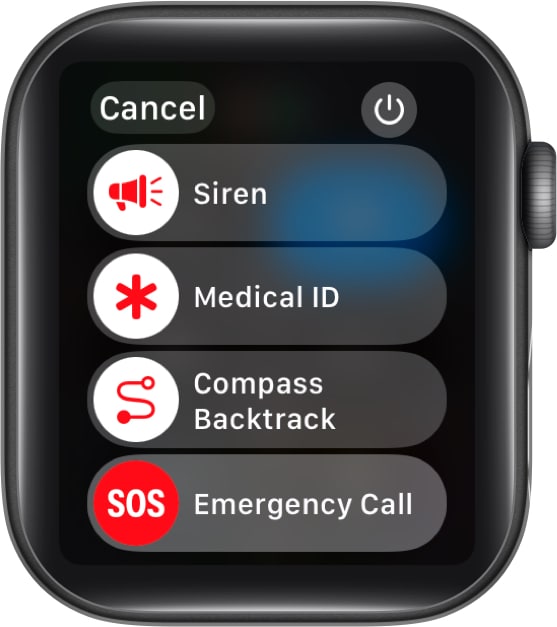 Access Medical ID from Apple Watch