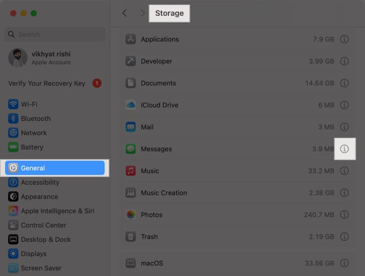 i button next to the Messages app in macOS Storage settings