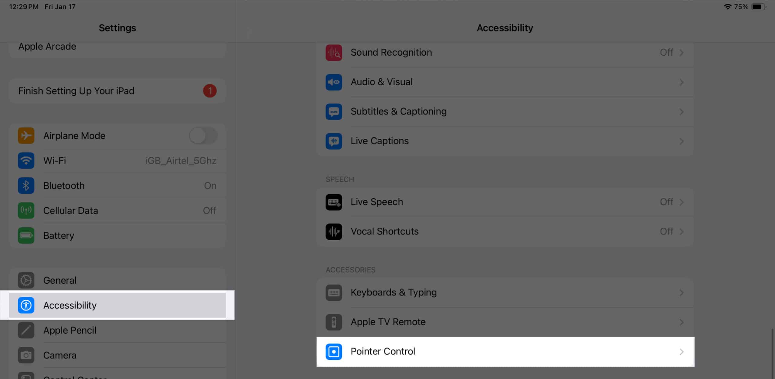 Accessing Pointer Control settings on an iPad