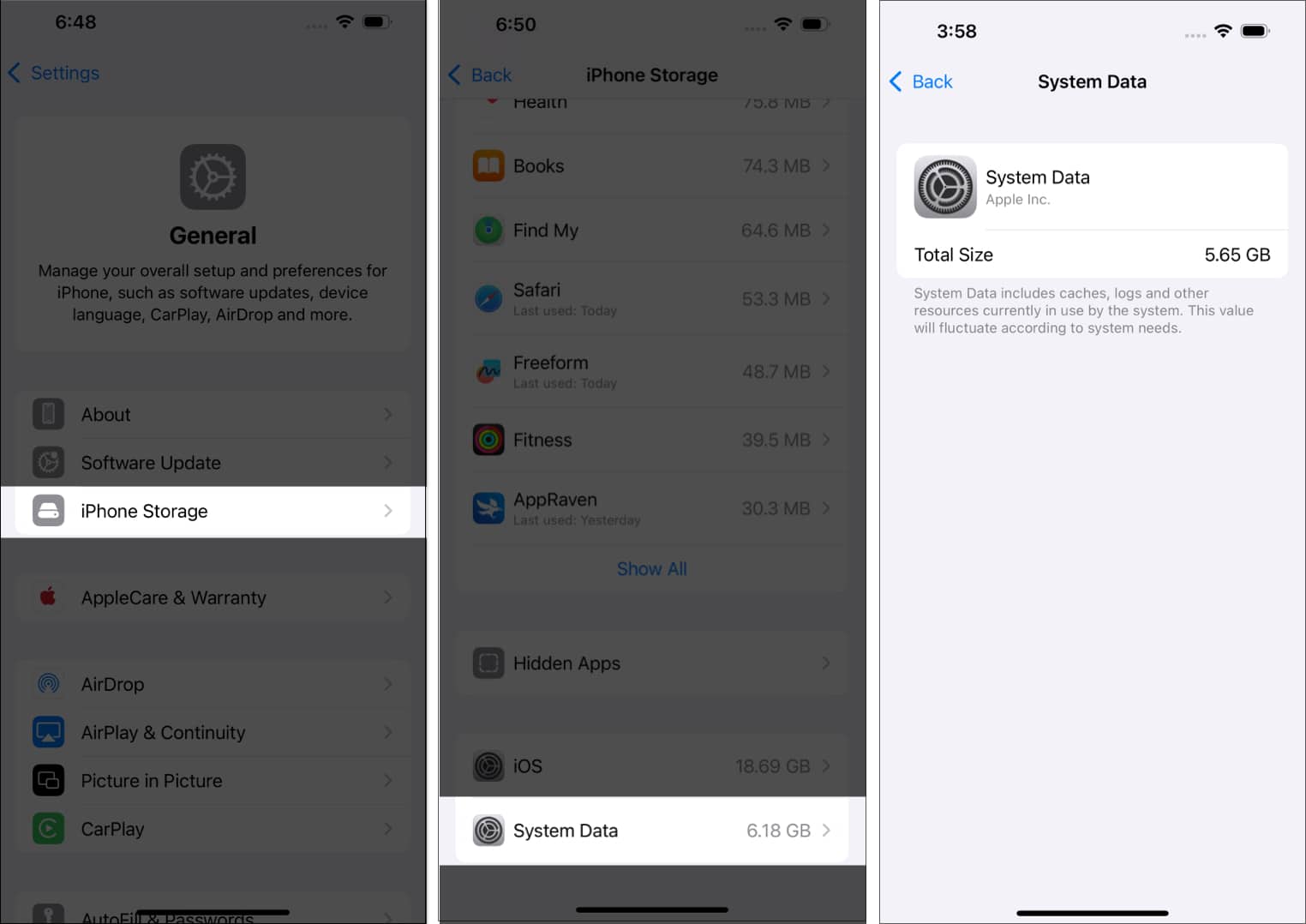 Accessing and checking System Data in iOS Settings on an iPhone