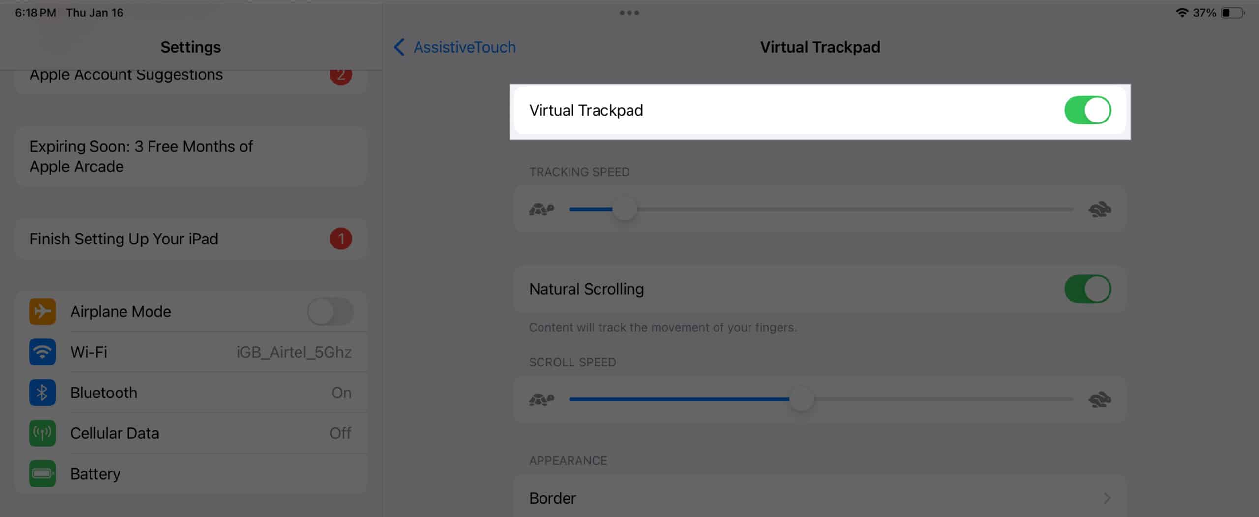 Enabling Virtual Trackpad on an iPad