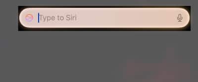 Type to Siri text box on a Mac